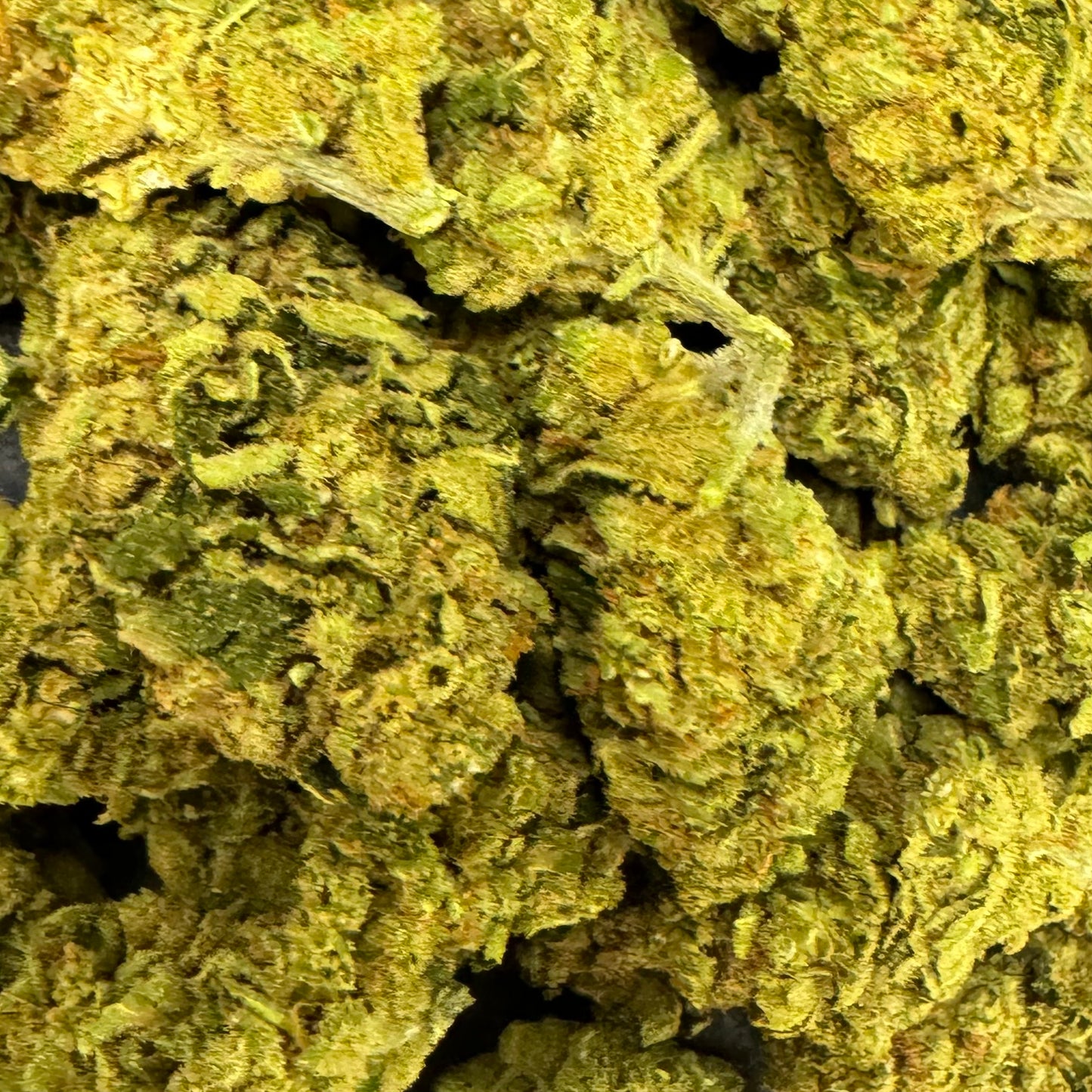 Amnésia Kush Indoor Hydroponie - Fleur de CBD 5G