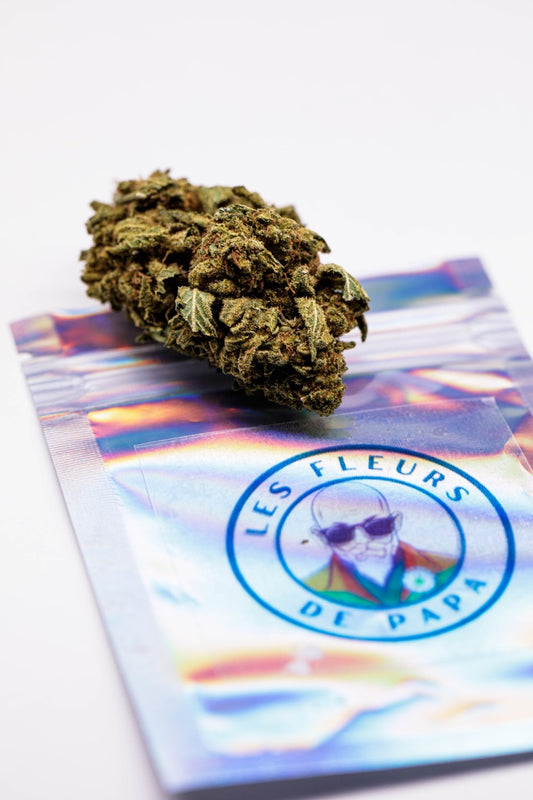 Super Silver Haze Outdoor - Fleur de CBD
