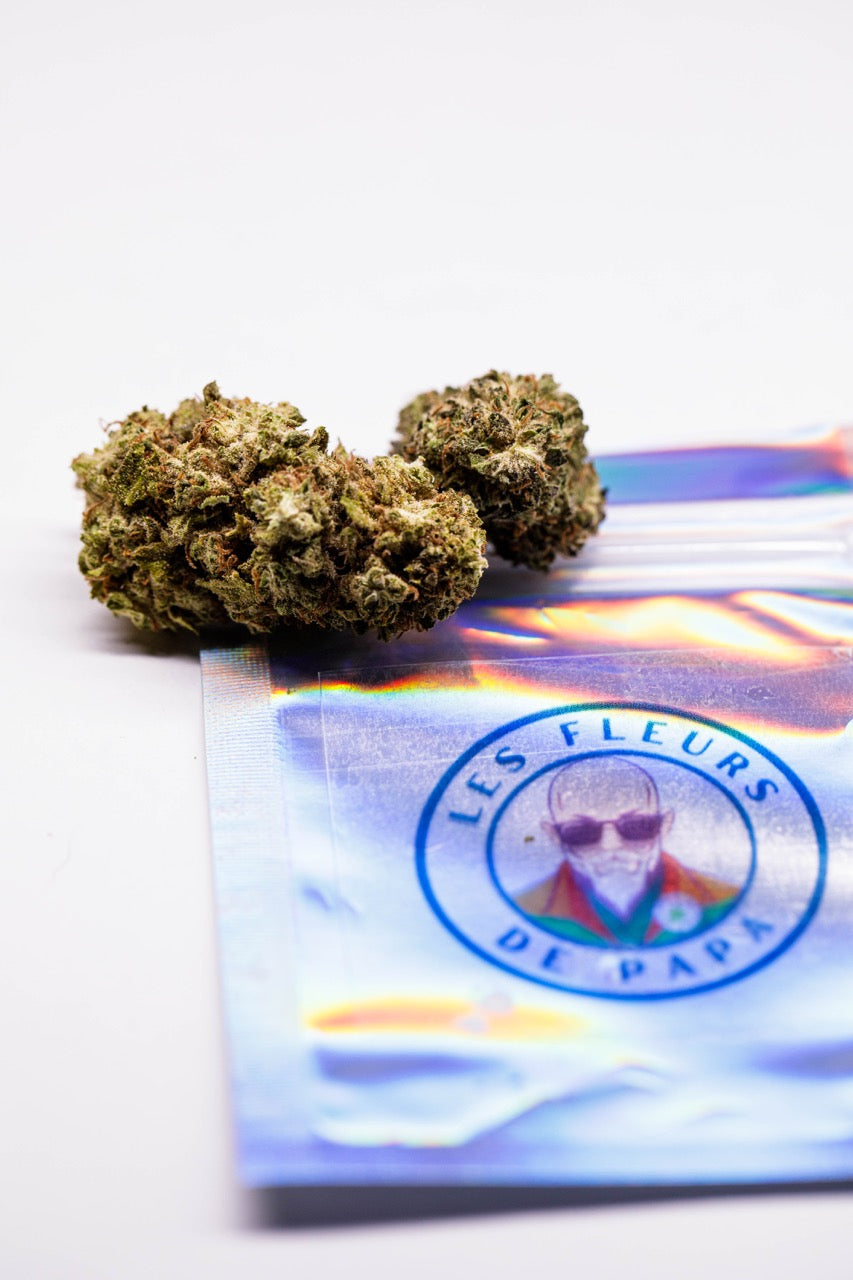 Pineapple GreenHouse- Fleur de CBD