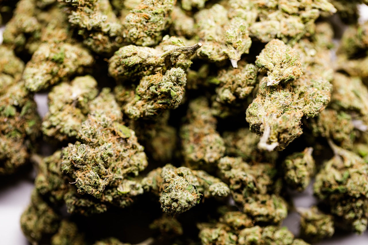 Rainbow Chip Indoor Hydroponie - Fleur de CBD