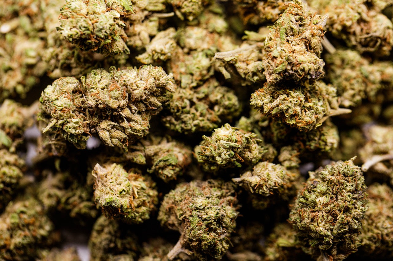Pineapple GreenHouse- Fleur de CBD