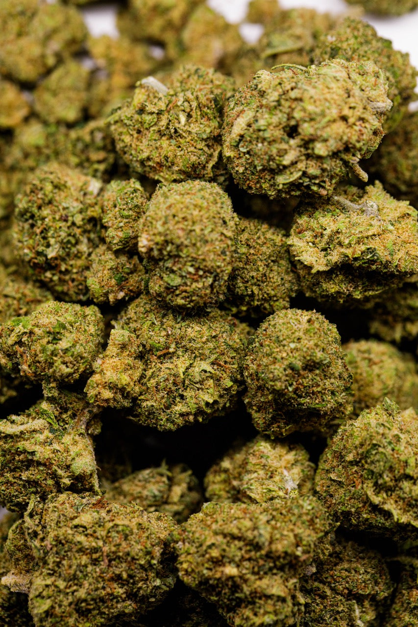 Ice Cream Cake Hydroponie - Fleur de CBD